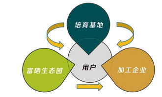 富硒食品連鎖新零售 互聯(lián)網(wǎng)分享經(jīng)濟思維驅(qū)動產(chǎn)業(yè)變革
